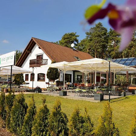 Lokal Genial Pension & Restaurant Beelitz Exterior foto